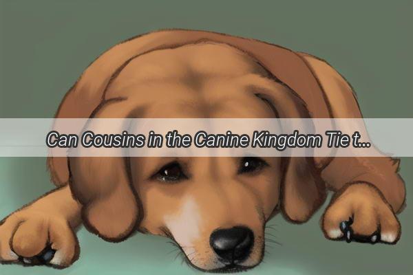 Can Cousins in the Canine Kingdom Tie the Knot A Deep Dive into Dog Inbreeding Dilemmas